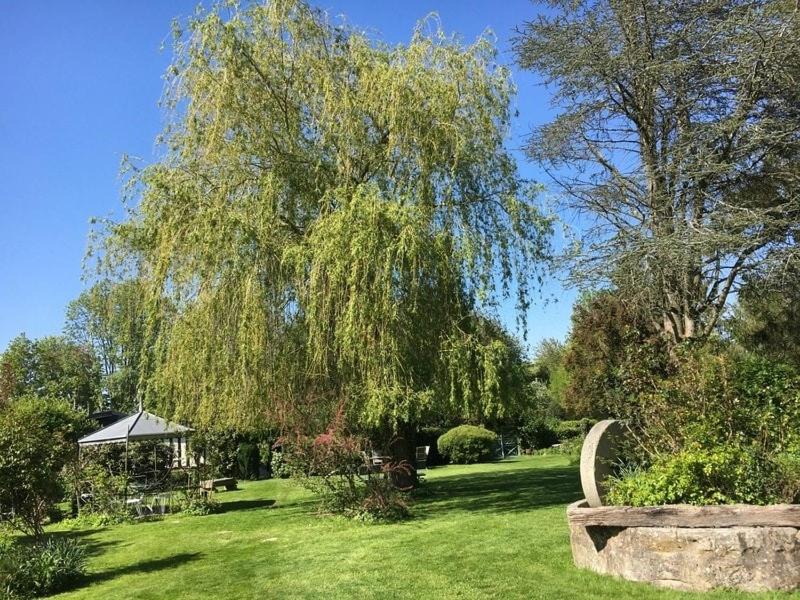 Photo of Others in Thierville