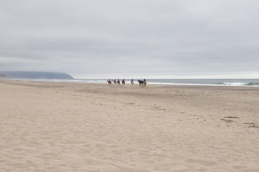 Photo of Others in Shorepine Village