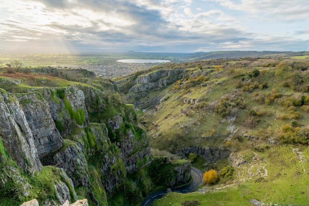 Photo of Others in Bridgwater