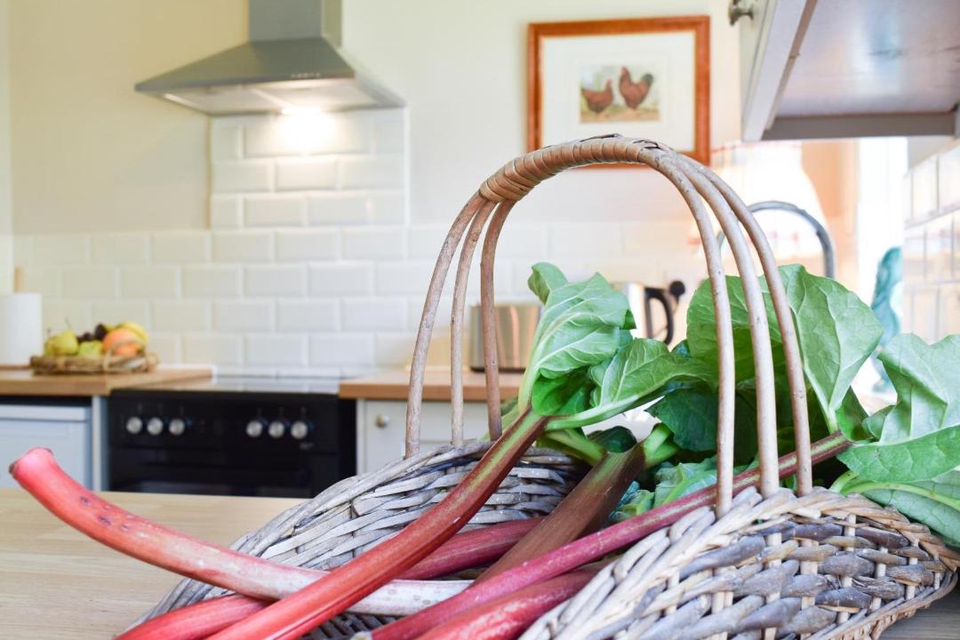 Photo of Others in Basingstoke