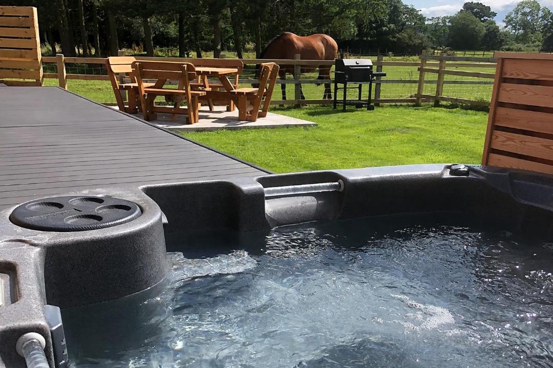 Photo of Others in Juniper