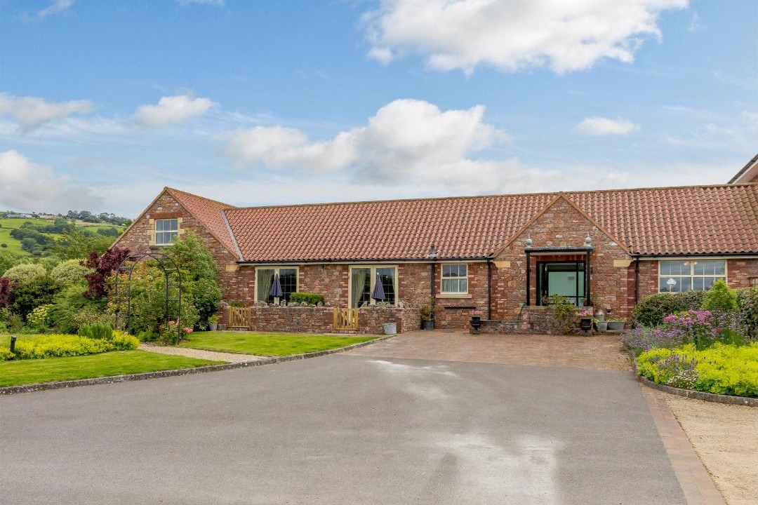 Photo of Others in Cheddar