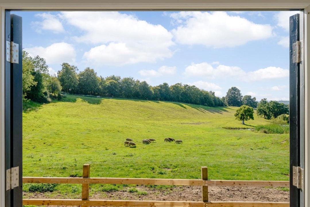 Photo of Others in Alderbury