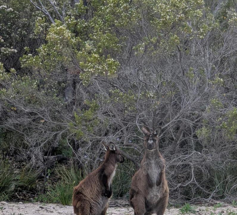 Photo of Others in Island Beach
