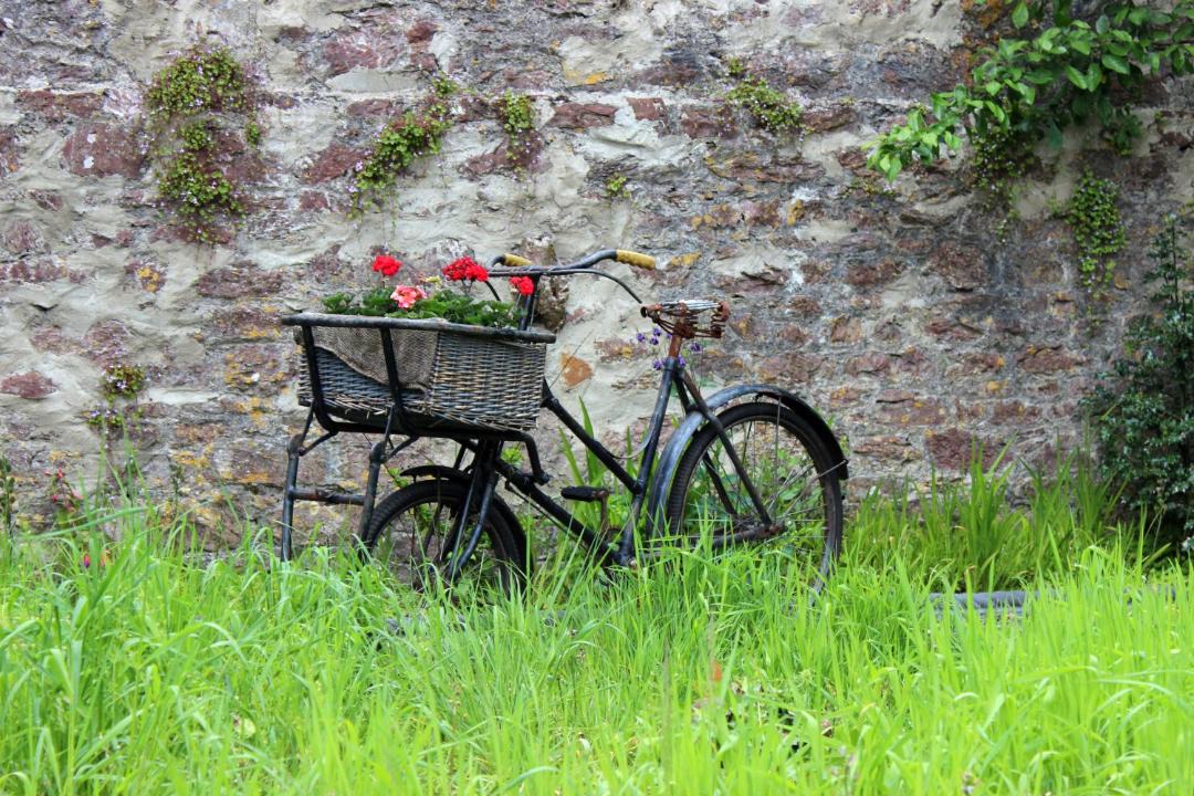 Photo of Patio Balcony in Milford Haven