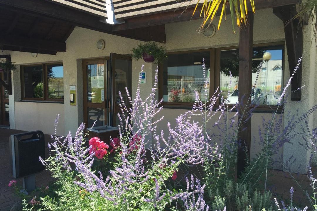 Photo of Others in Chatellerault