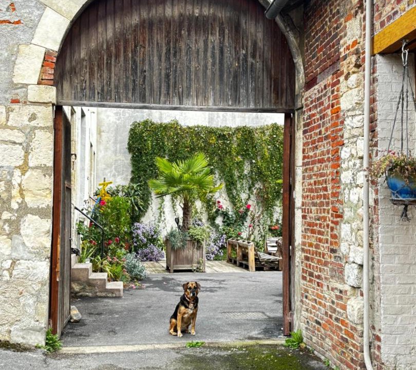 Photo of Others in Aubenton