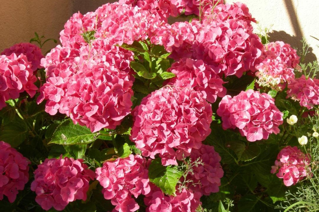 Photo of Others in Caumont