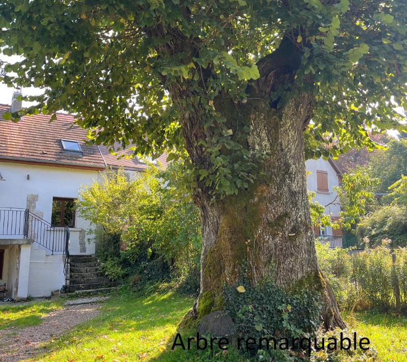 Photo of Others in Briare