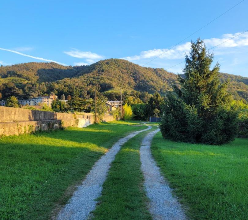 Photo of Others in Tournon-sur-Rhone