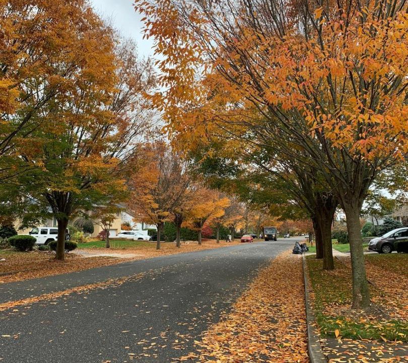 Photo of Others in Jericho