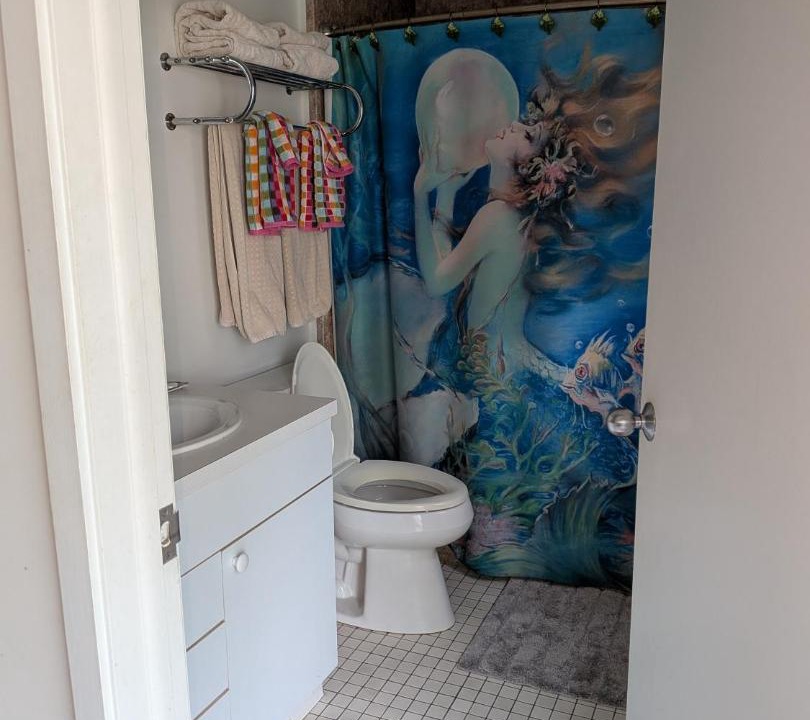 Photo of Bathroom in Old Fourth Ward