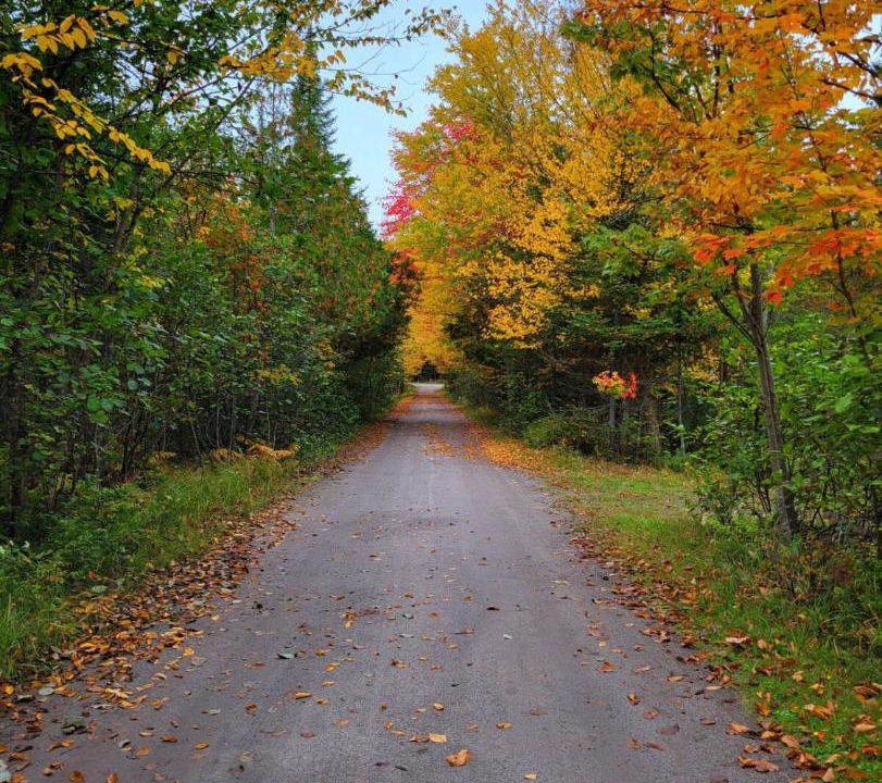 Photo of Others in Nominingue