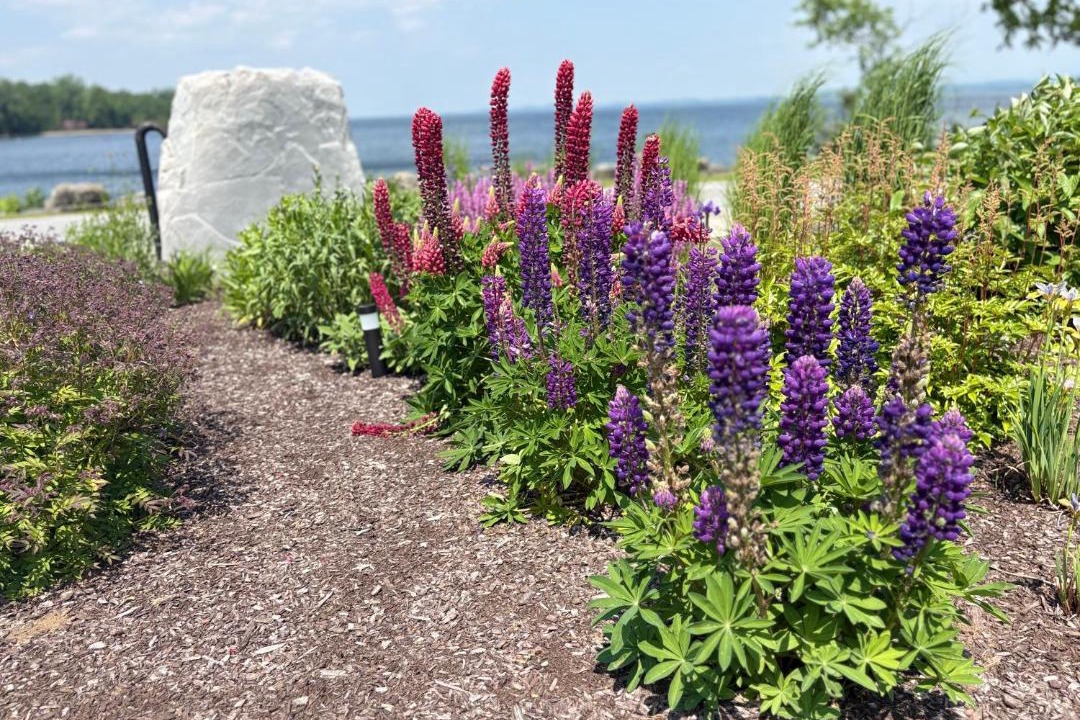 Photo of Outdoor in Essex