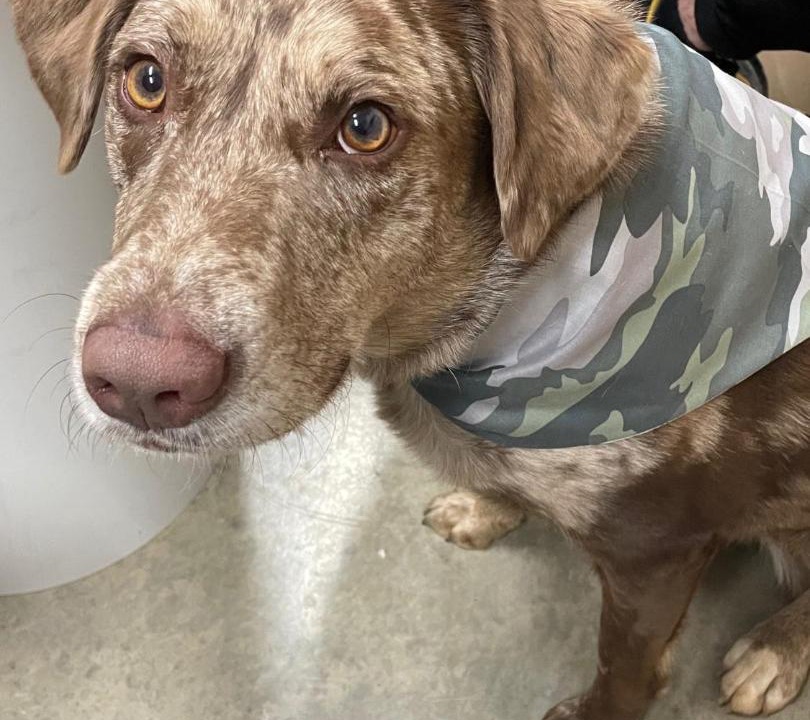 Photo of Others in Heidelberg