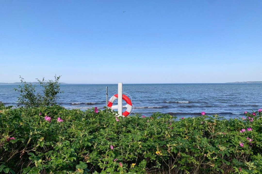 Photo of Others in Vejle