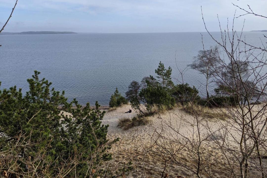 Photo of Others in Vejle