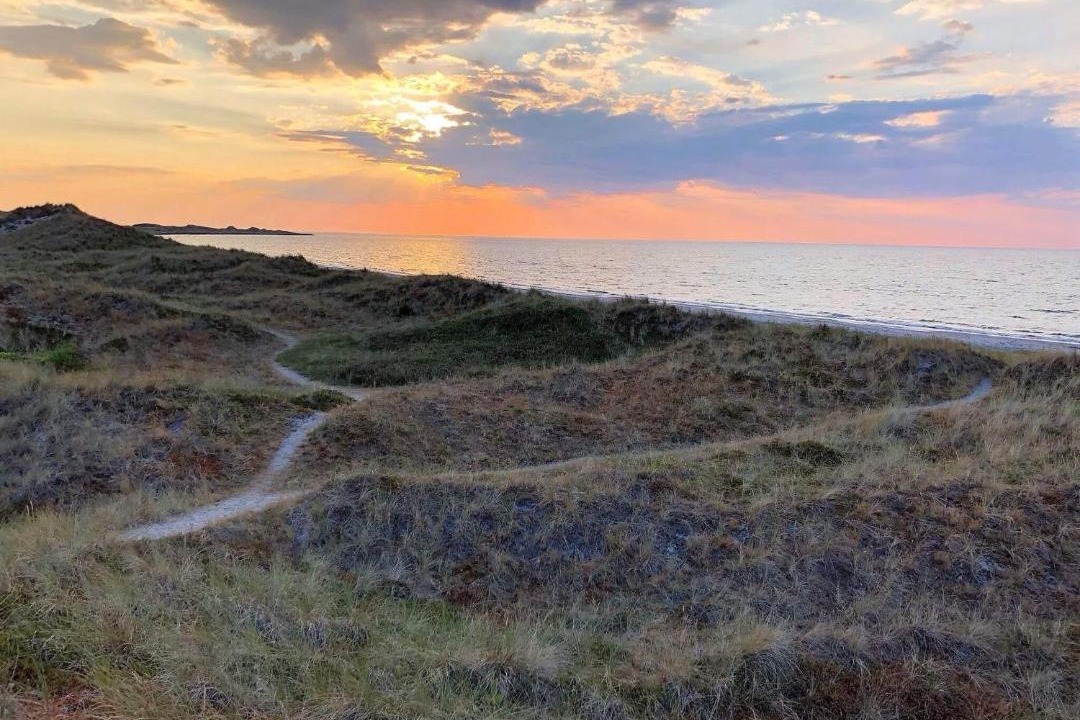 Photo of Others in Læsø