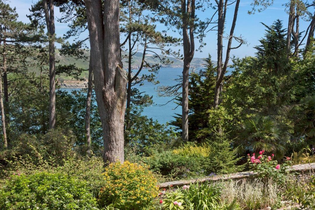 Photo of Others in Salcombe