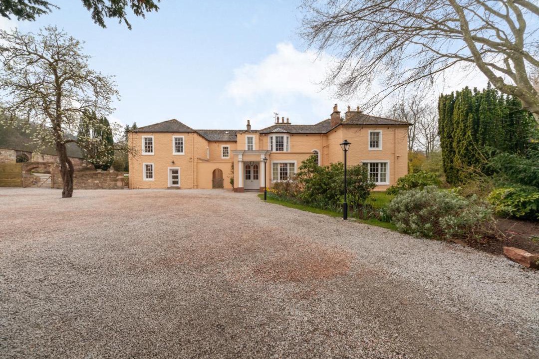 Photo of Others in Wing