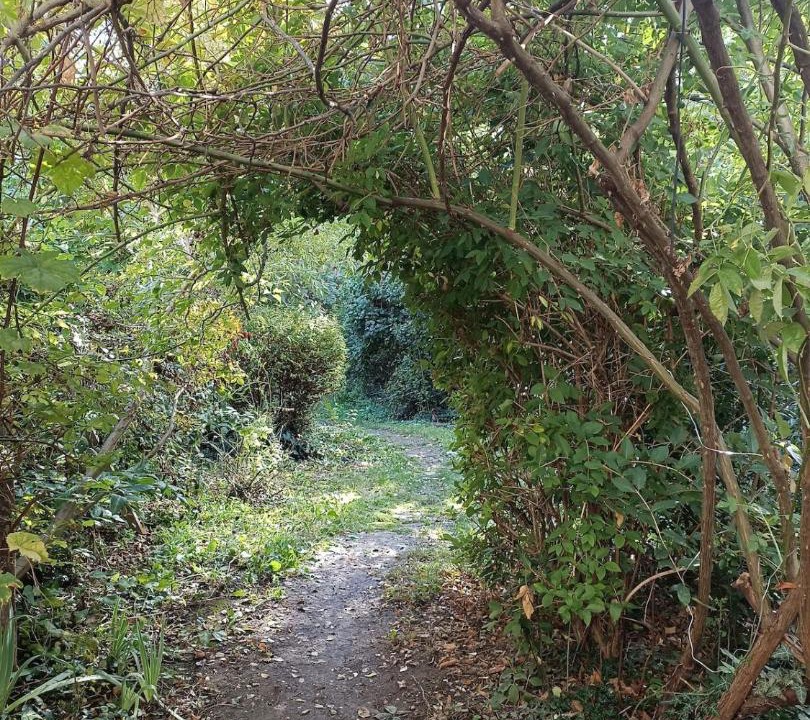 Photo of Others in Deuil-la-Barre