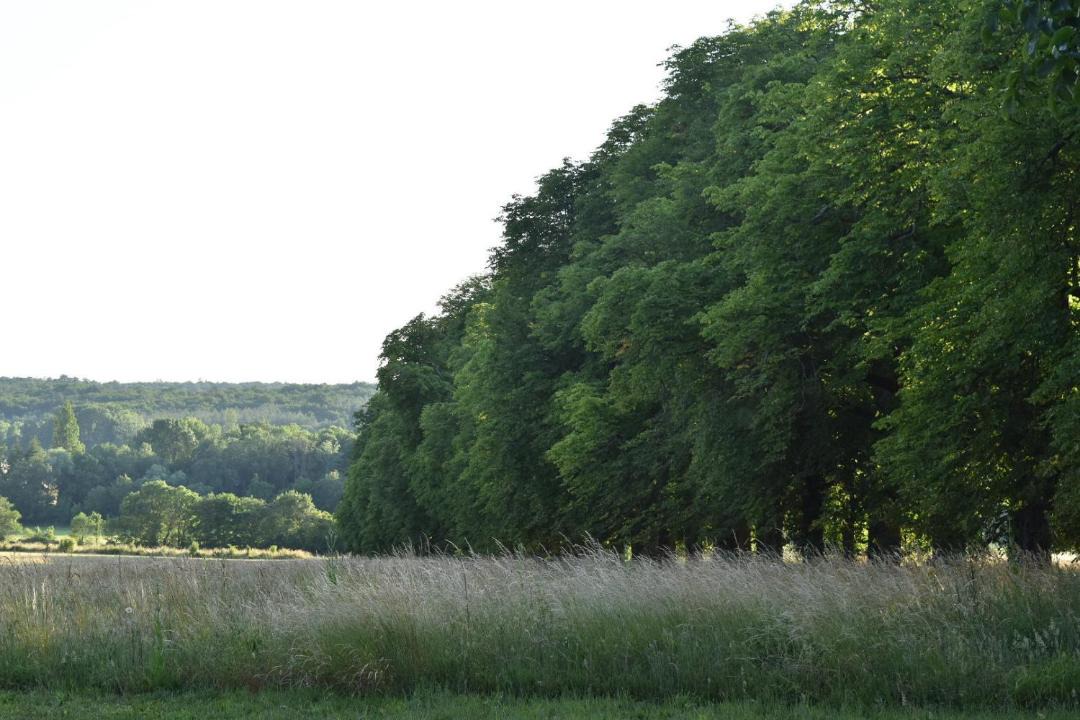 Photo of Others in Chambourg-sur-Indre