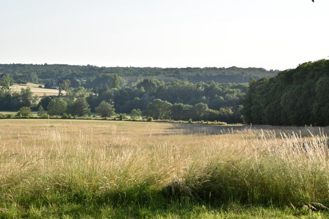 Photo of Others in Chambourg-sur-Indre