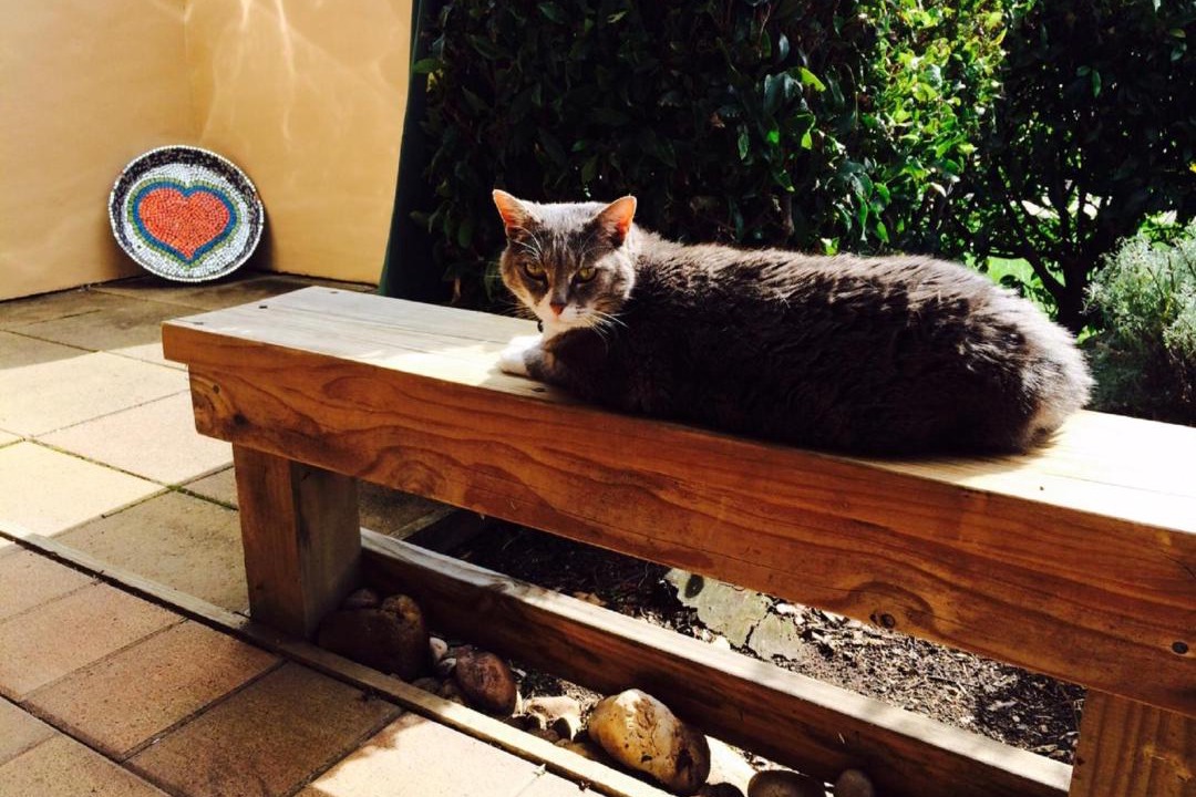 Photo of Others in Kuaotunu