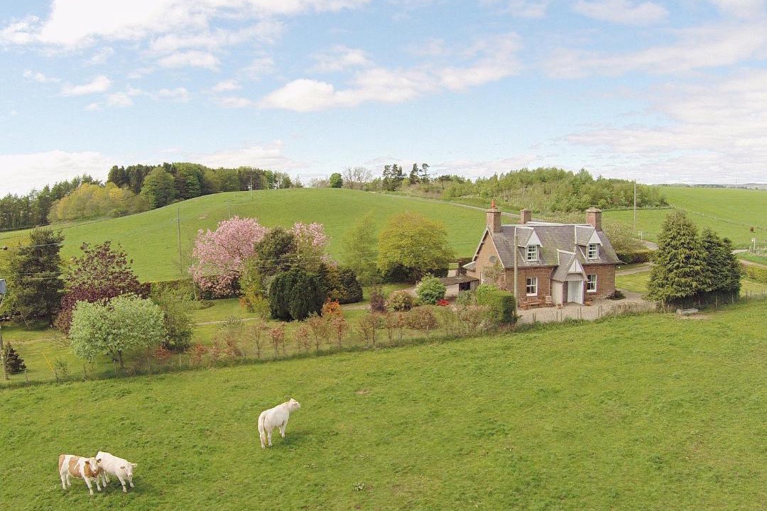 Photo of Others in Kirriemuir