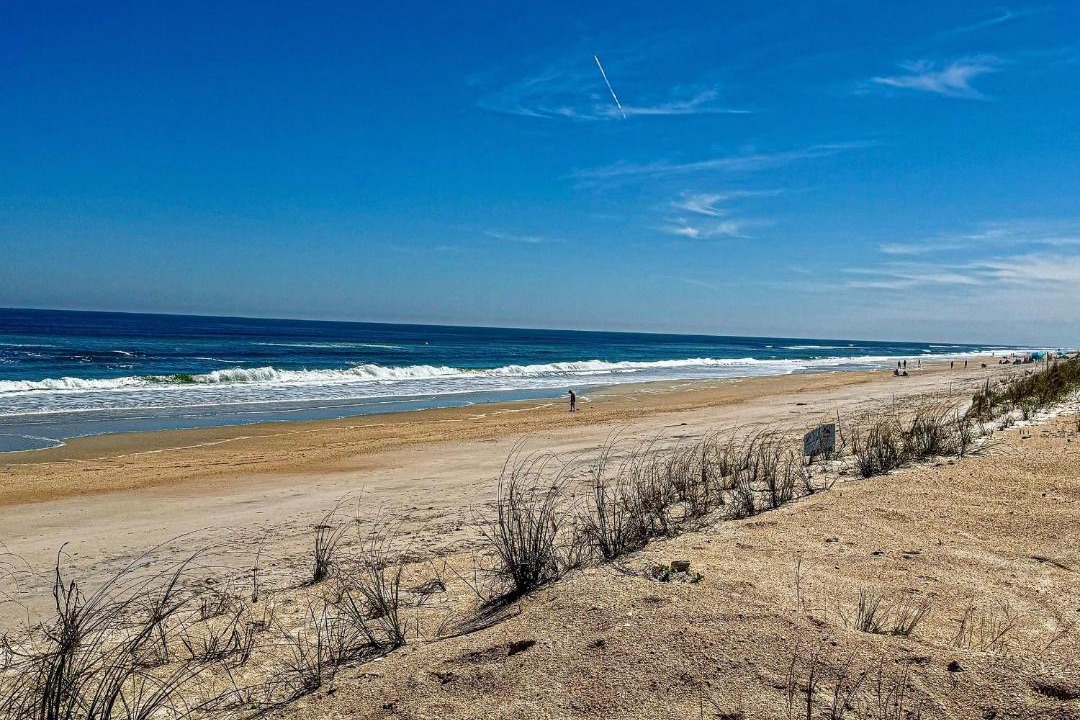 Photo of Others in Marineland Acres