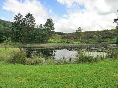 Photo of Others in Castle Douglas