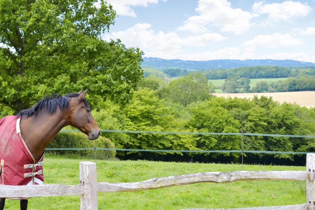 Photo of Others in Burwash