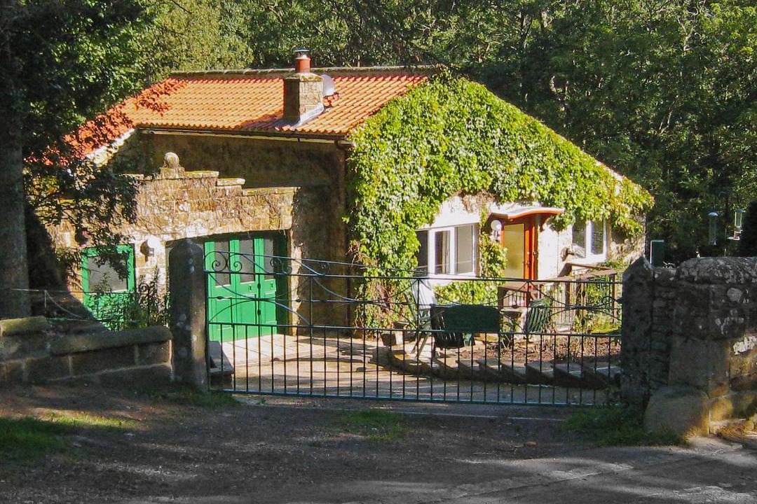 Photo of Others in Goathland