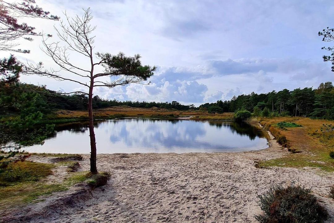 Photo of Others in Kongsmark