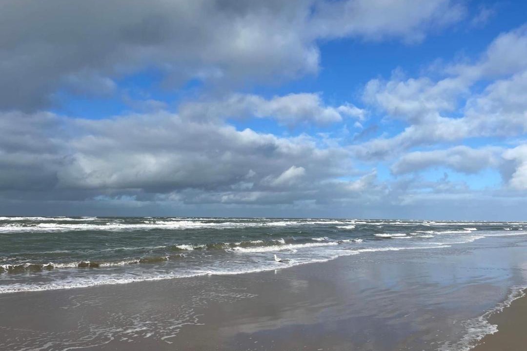 Photo of Others in Grærup Strand