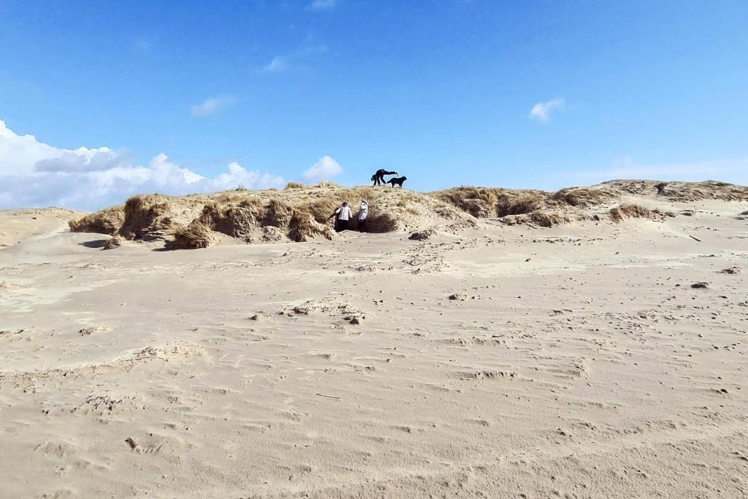 Photo of Others in Rindby Strand