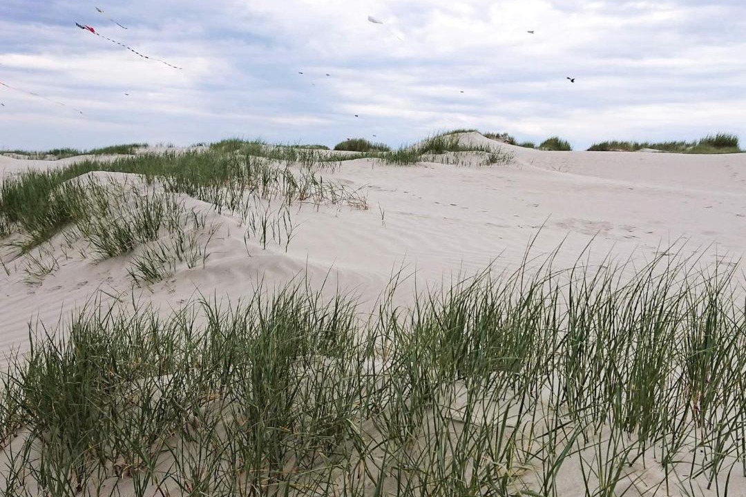 Photo of Others in Rindby Strand