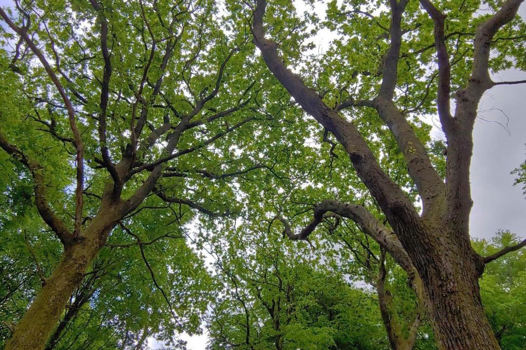 Photo of Others in Jegum