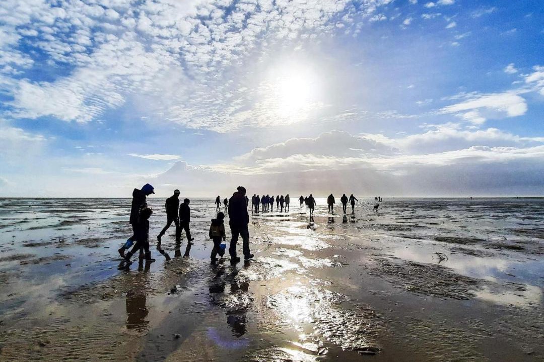 Photo of Others in Sønderho