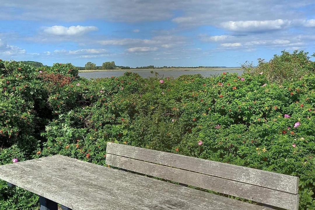 Photo of Others in Arø