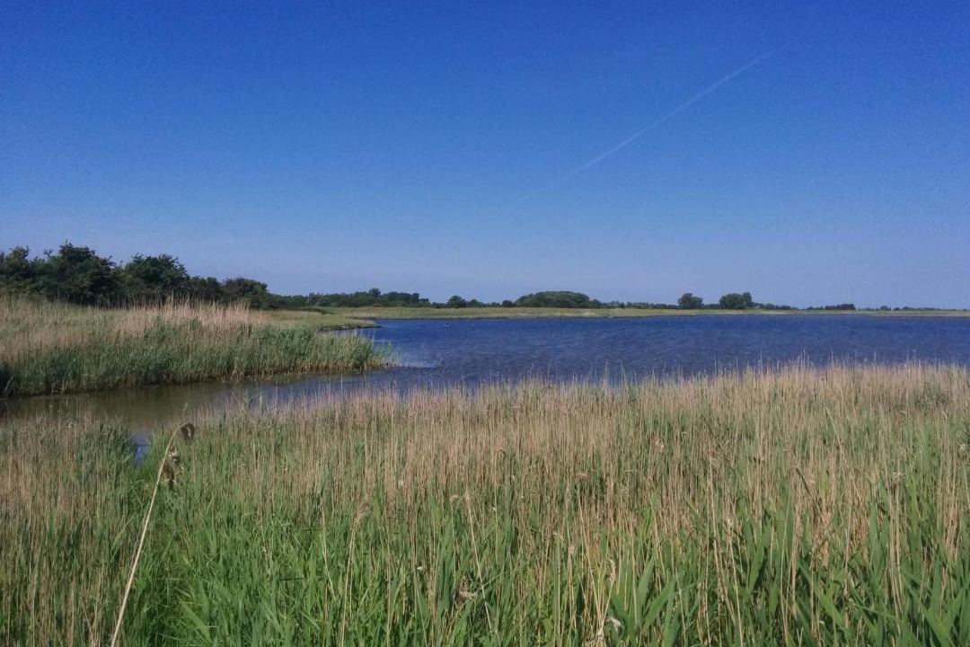 Photo of Others in Arø