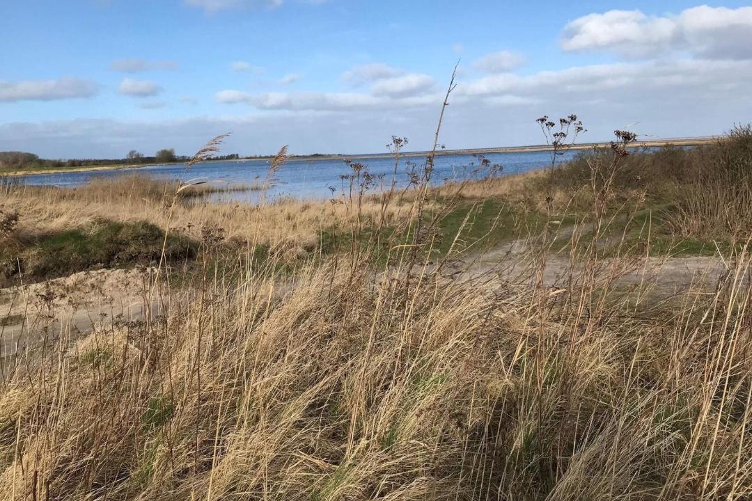 Photo of Others in Arø
