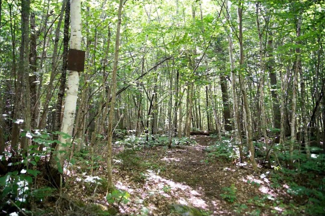 Photo of Others in Chatham