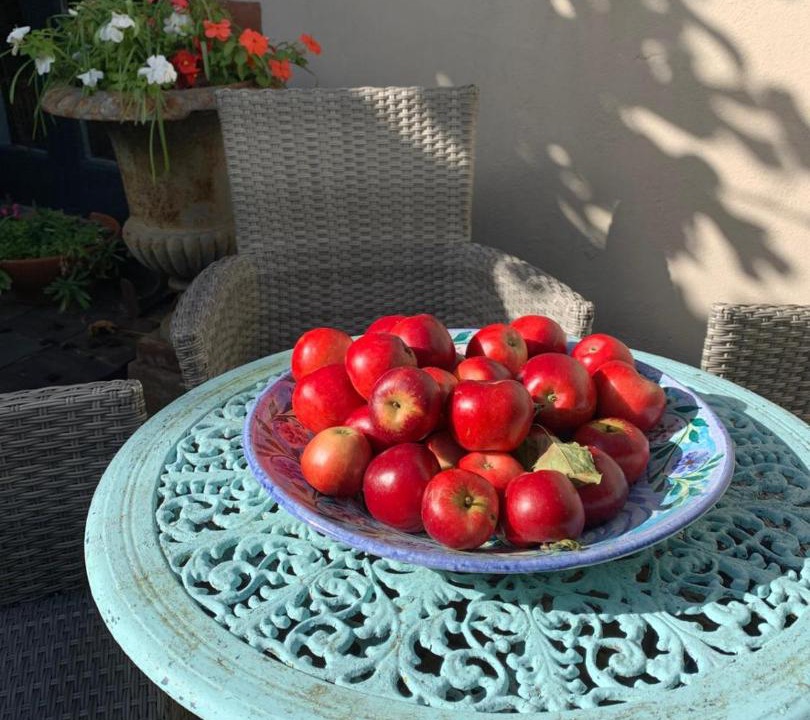 Photo of Others in Briston