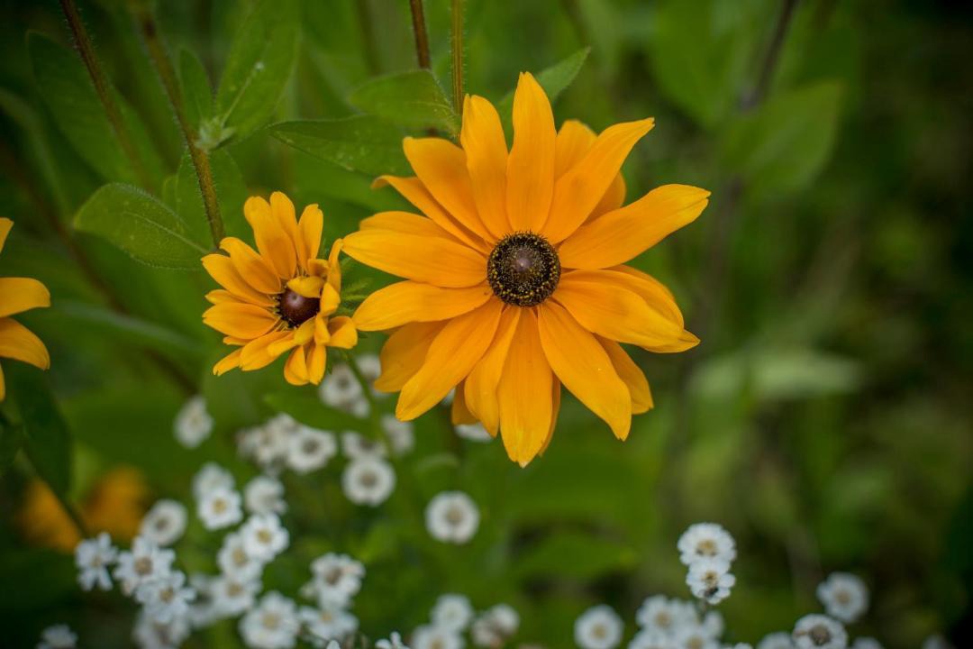 Photo of Others in Oakford