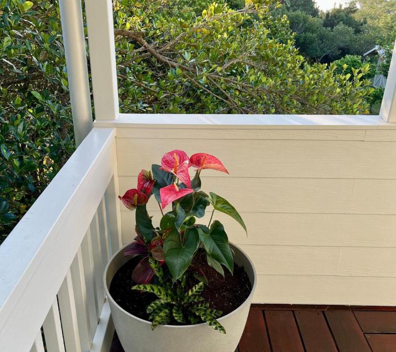 Photo of Patio Balcony in Discovery Harbour