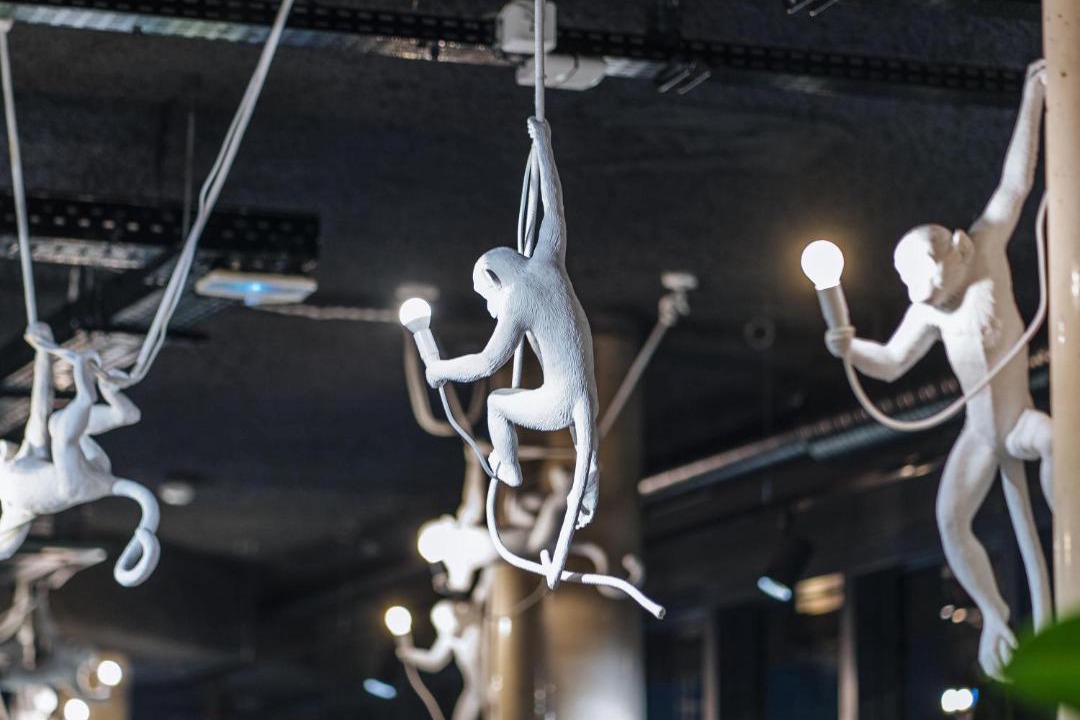 Photo of Others in Quartier Saint-Clement - Jardin des Plantes