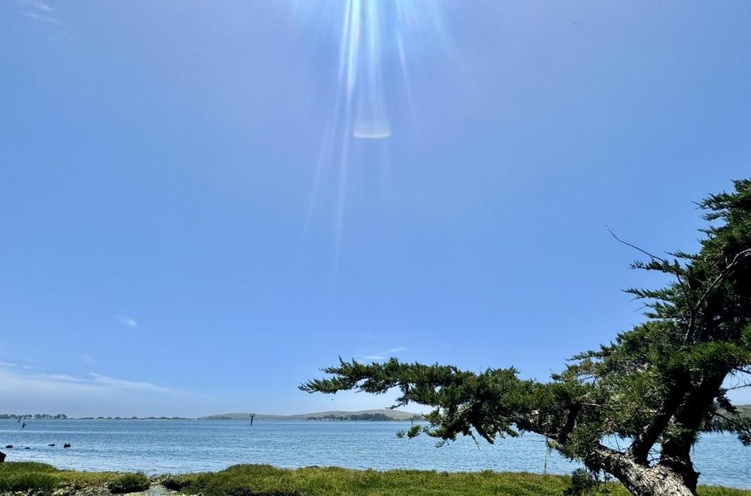 Photo of Others in Old Town