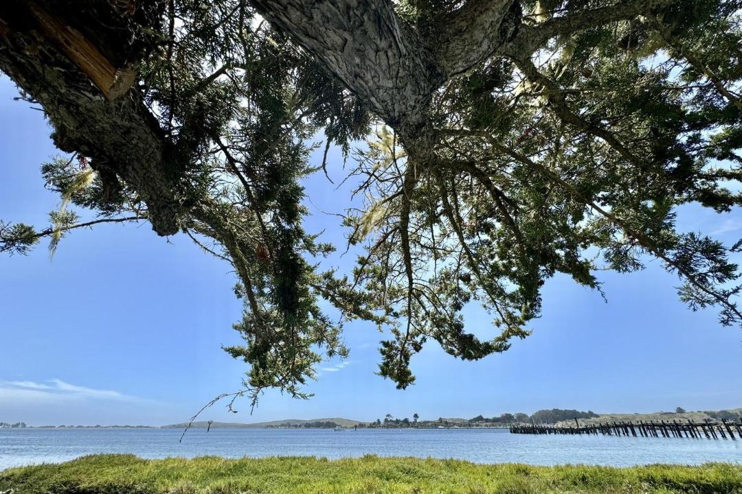 Photo of Others in Old Town