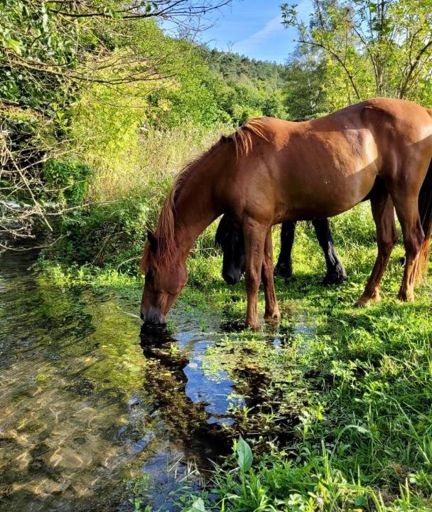 Photo of Others in La Bonneville-sur-Iton